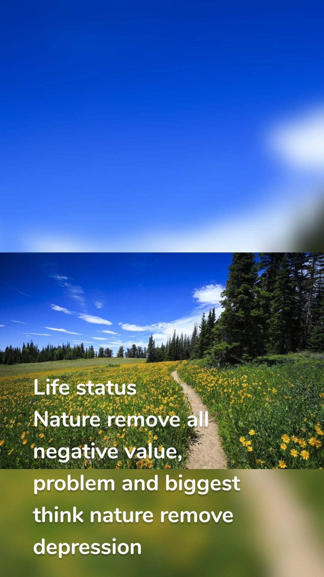 Life status 
Nature remove all negative value, problem and biggest think nature remove depression